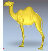 Верблюд Camel_015